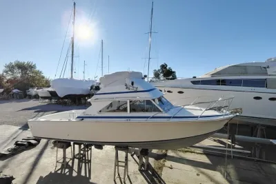 1972 Bertram 28