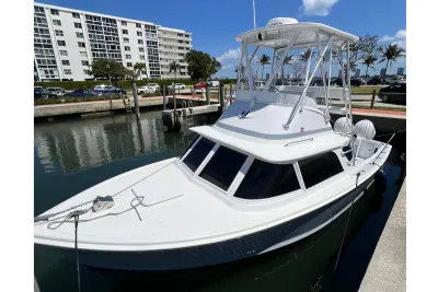 1973 Bertram 31 Flybridge Cruiser