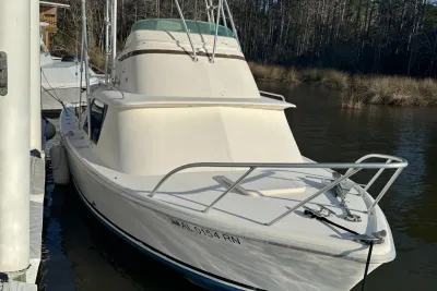 1974 Bertram 31 Flybridge Cruiser
