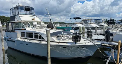 1975 Bertram 42 Motor Yacht