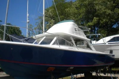 1979 Bertram 31 Flybridge Cruiser