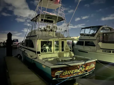 1985 Bertram 46