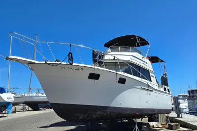 1985 Carver 3207 Aft Cabin Motor Yacht