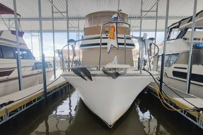 1986 CHB Senator