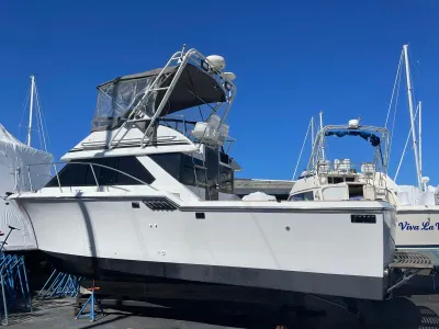 1988 Chris-Craft 281 Catalina