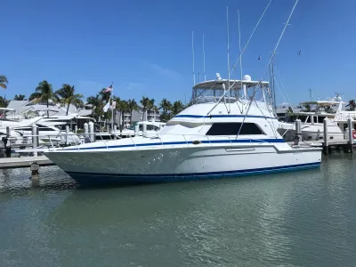 1989 Bertram 50 Convertible