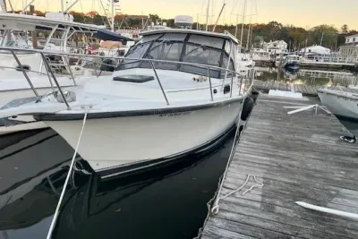 1989 Rampage 28 Sportsman