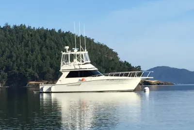 1990 Viking 38 Convertible