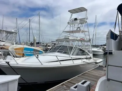 1997 Blackfin 31 Combi