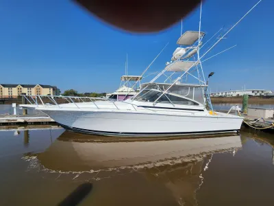 1998 Blackfin Express