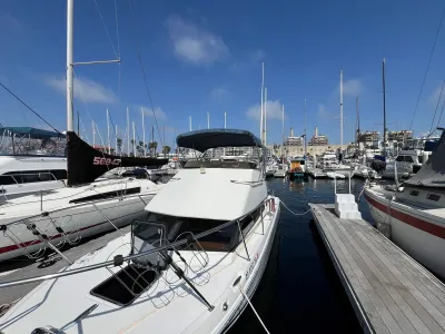 1999 Skipjack 262 Flybridge