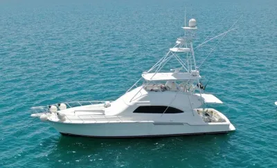 2005 Bertram 570