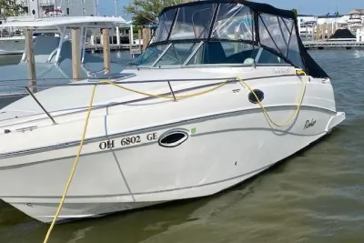 2005 Rinker Fiesta Vee 250