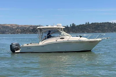 2007 Scout 262 Abaco