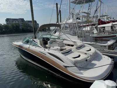 2008 Four Winns H310