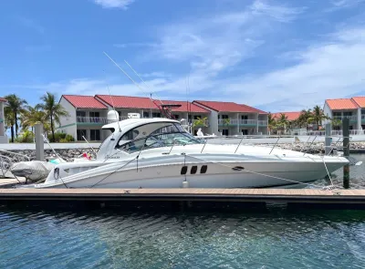 2008 Sea Ray 40 Sundancer