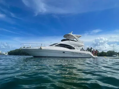 2008 Sea Ray 44 Sedan Bridge