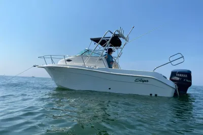 2011 Seaswirl Striper Striper