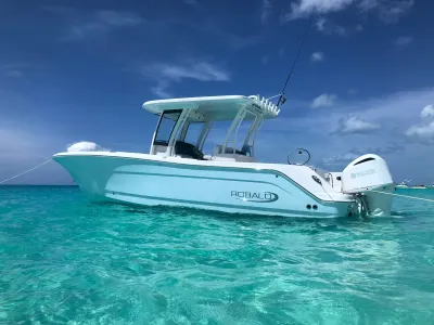 2018 Robalo R302 Center Console