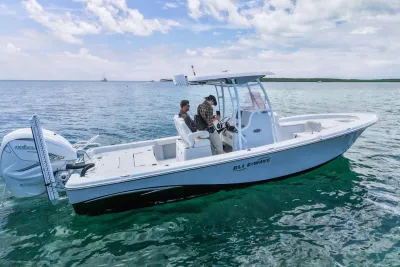 2019 Blue Wave 2800 Pure Hybrid