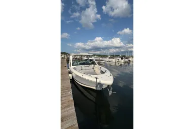 2019 Chaparral 300 OSX