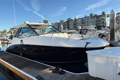 2019 Sea Ray Sundancer 320