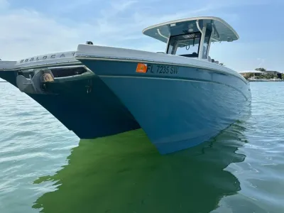 2020 World Cat 280 CC-X