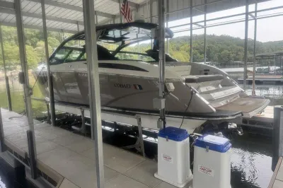 2022 Cobalt A36BR