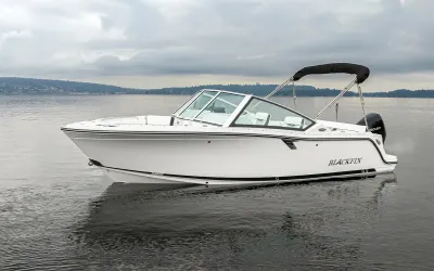 2024 Blackfin 232 DC