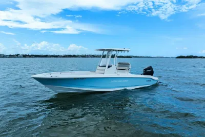 2024 Boston Whaler 250 Dauntless