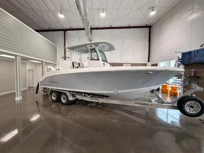 2025 Stingray 253 CC