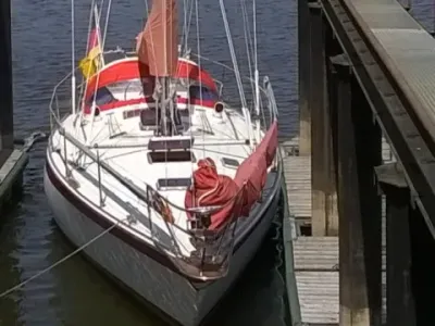 36`Segelyacht Flushdeck, Einzelbau
