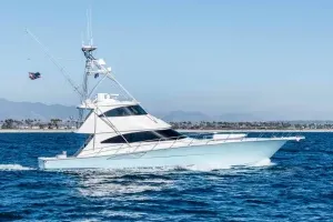 50 Caliber 72' Viking 2018