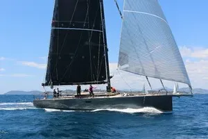 65' Black Pepper 2026
