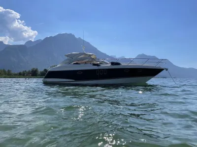 Absolute 41