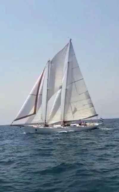 Ambrosi Sciarelli 50