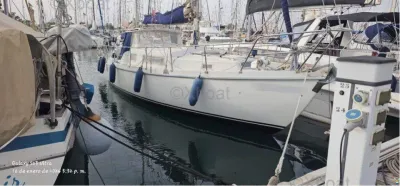 Amel EUROS 41