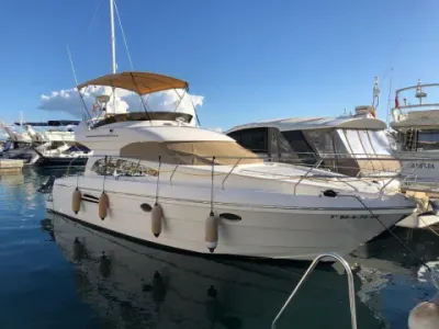 Astondoa 394 Fly