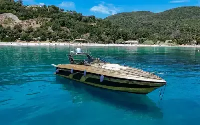 Bateau COBRA 55 occasion France