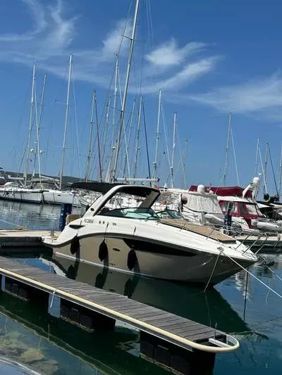 Bateau SEA RAY SUNDANCER 265 occasion Croatie