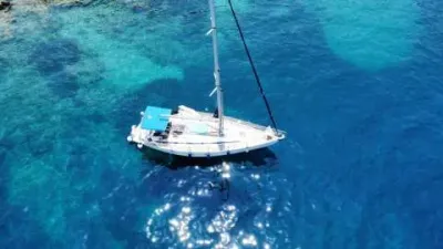 Bavaria 41 Exclusive