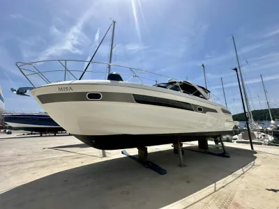 Bavaria Sport 39