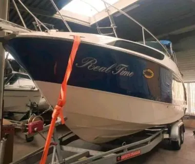 Bayliner 245