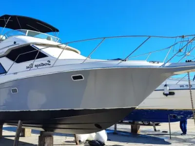 Bayliner 3258 Avanti Fly
