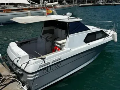 Bayliner Ciera 2452 Express