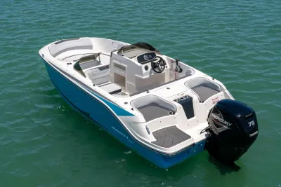 Bayliner Element M17