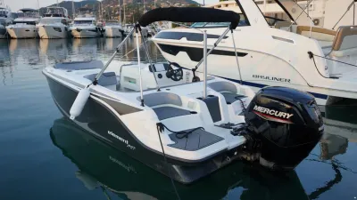 Bayliner Element M17 und Trailer, 525 Axess