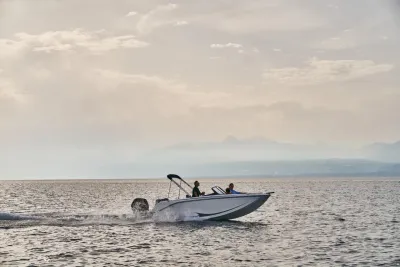 Bayliner Element M19