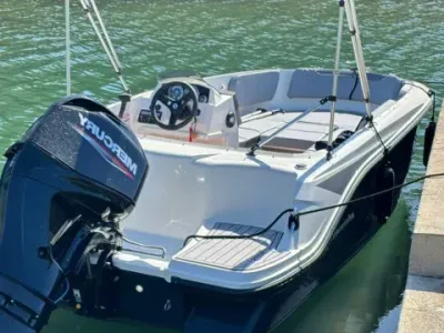 Bayliner M15 Element