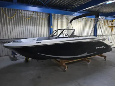 Bayliner M17